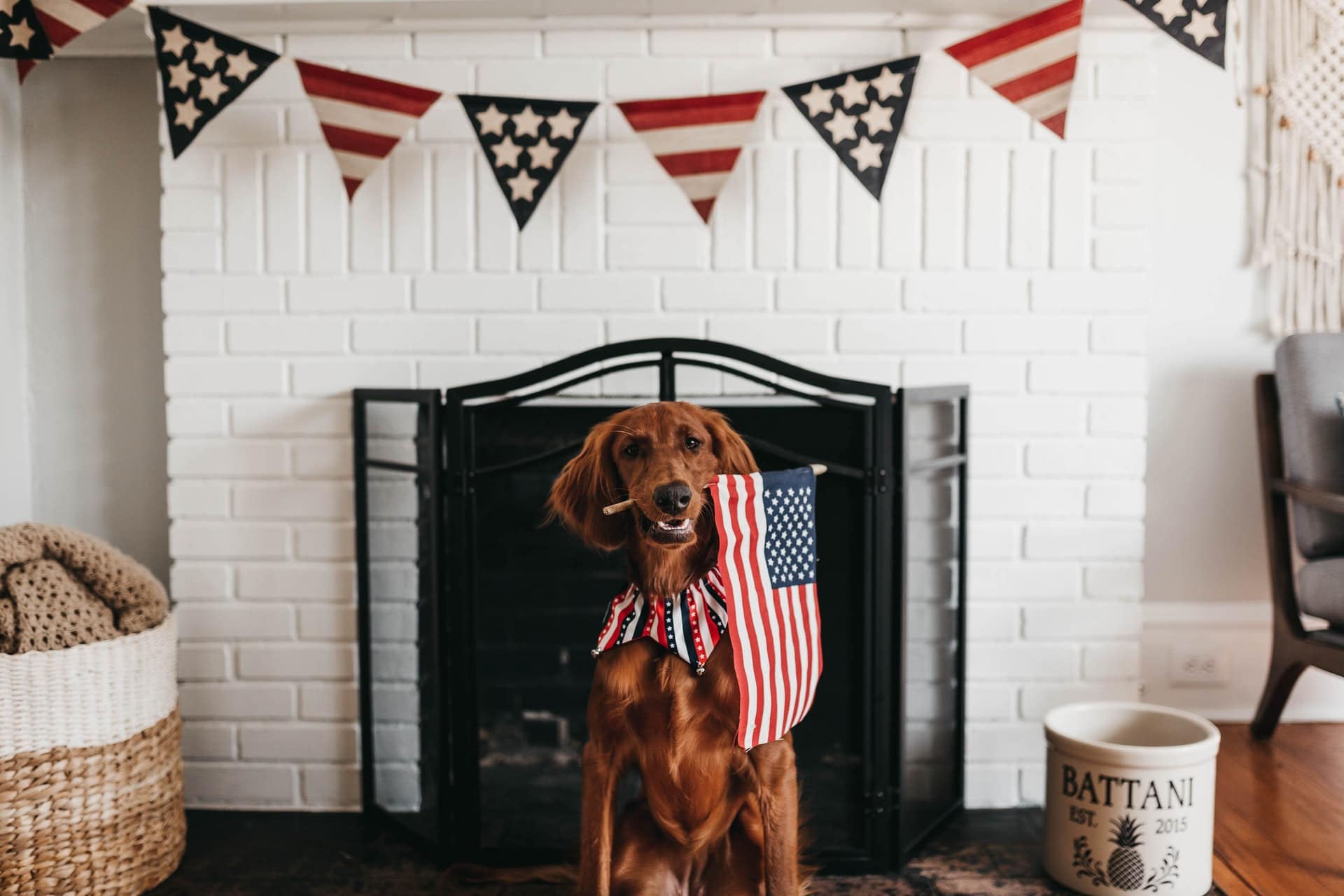 How To Keep Your Home, Family, and Guests Safe This 4th of July